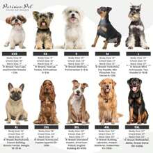 Pet Tees - Multicolor - View 8