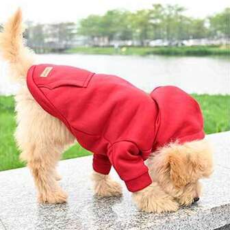 Hundtröja med huva för små hundar, bekväm polyester- och stickad tröja, ny hundtröja med ficka baktill, lämplig för medelstora och små hundar som schnauzer, pudel, pomeranian, vinterkläder för hundar
