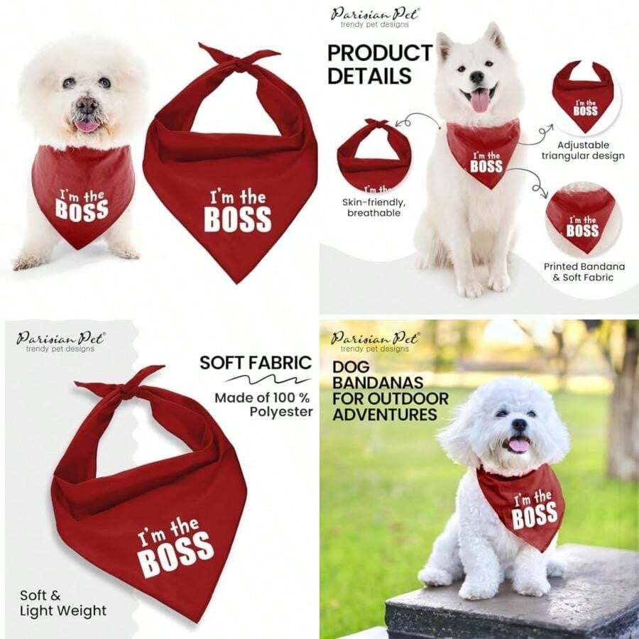 Parisian Pet Fashionable Dog Bandana – '' Printed Tie-On Neck Kerchief for Female Dogs and Cats – ize mall(S Im the Boss) - Multicolor - Ver 1