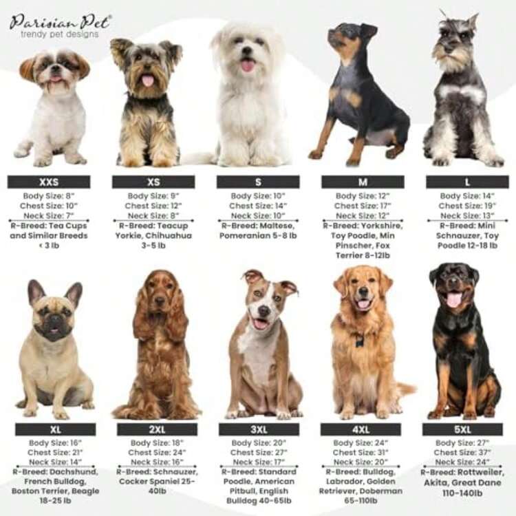 Pet Tees - Multicolor - View 8