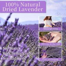 Dried Lavender Flowers Bundles, Natural Dry Lavender Flowers 220 - 240 Stems 16'' Vase Home Wedding Party Decoration Arrangements Fragrance 3 Bundles - 3.52盎司 - 查看 2