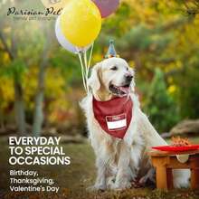Pet Sweaters - Multicolor - View 7