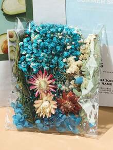 Kit de material mixto de flor preservada, cielo estrellado y flor seca, marco de foto manual DIY con instrucciones, abanico redondo relleno de flores frescas y secas, kit de material de flor preservada DIY, pegatina de marco de foto DIY - Multicolor - Ver 5