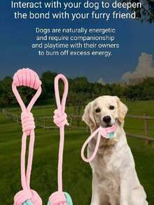 新款棉绳宠物玩具，现货供应：狗狗咀嚼绳套装、耐咬棉绳球、坚不可摧的狗狗玩具。 - 彩色 - 查看 4