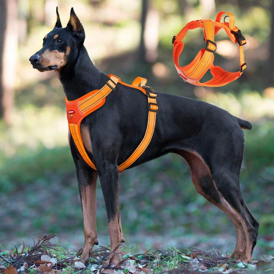 Tactical Dog Harness With Handle And Leash, Easy To Control And Train For Walking, Adjustable Reflective Strap