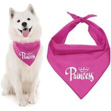 Parisian Pet Fashionable Dog Bandana – '' Printed Tie-On Neck Kerchief for Female Dogs and Cats – ize mall(L Princess) - Multicolor - Ver 2