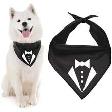 Pet Sweaters - Multicolor - View 2