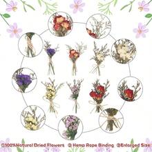 12 Pcs Dried Flowers Forget Me Not Lavender Bouquets Natural Dried Flower With Stem Artificial Embossing Dry Arrangement Vase Photo Props Wedding Decoration - Kiểu 2 - 12 chiếc - Xem 6