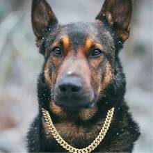 1pc Bling Rhinestone Pet Dog Collar Necklace, Luxury Cuban Chain Choker Necklace, Metal Leash Collar With Safety Clasp, Pet Jewelry Accessories