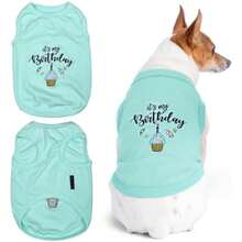 Parisian Pet Dog T-hirt, mall(It's My Birthday Blue S) - Multicolor - Ver 2