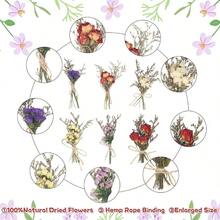 12 Pcs Dried Flowers Forget Me Not Lavender Bouquets Natural Dried Flower With Stem Artificial Embossing Dry Arrangement Vase Photo Props Wedding Decoration - 款式 3- 24 件 - 查看 5