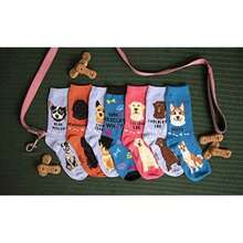 Pet Socks - Multicolor - View 4