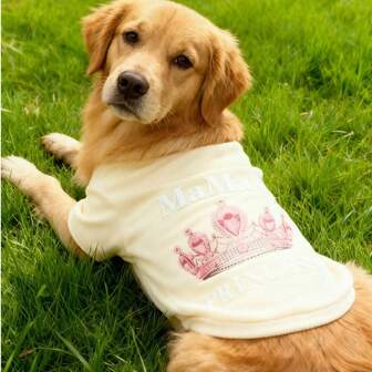 黑色圆领皇冠图案休闲可爱连帽衫，适合猫狗，春秋冬三季皆宜。