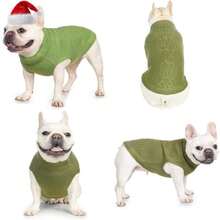 Pet Sweaters - Multicolor - View 1