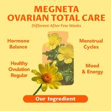 MEGNETA Myo-Inositol Supplement - Ovarian Care For Hormone Balance | Menstrual Cycle Support | 15-Day Supply | Myo-Inositol, D-Chiro Inosito & Ashwagandha | Soy Isoflavones Complex | Promotes Healthy Ovulation, 120 Caps - Three bottles - The best option - 查看 6