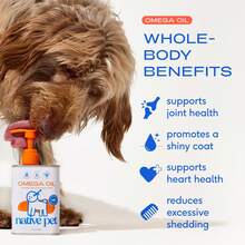 Native Pet Omega 3 Fish Oil For Dogs & Cats - Promotes Healthy Skin, Shiny Coat, & Strong Joints - Made With Wild Alaskan Salmon Oil For Dogs – Tasty, Fast-Absorbing Omega 3 6 9 Liquid Supplement- 8oz - White - View 2