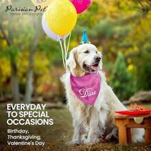 Pet Sweaters - Multicolor - View 7