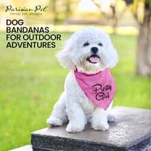 Pet Sweaters - Multicolor - View 6