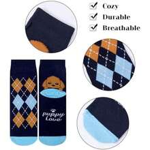Pet Socks - Multicolor - View 3