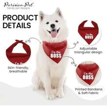 Parisian Pet Fashionable Dog Bandana – '' Printed Tie-On Neck Kerchief for Female Dogs and Cats – ize mall(S Im the Boss) - Multicolor - Ver 4