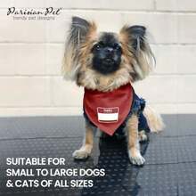 Pet Sweaters - Multicolor - View 6