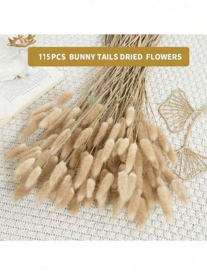 30/59/80/119pcs Natural Dried Rabbit Tail Grass Flowers, Suitable For Boho Decor, Home, Wedding DIY Crafts
