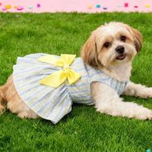 Pet Dress, Dog/Cat Clothes, Princess Dress
