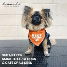 Pet Sweaters - Multicolor - View 6
