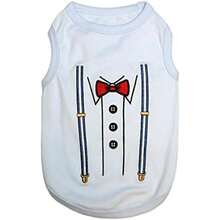 Pet Tees - Multicolor - View 10