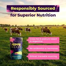Primal Grass Fed Beef Organ Supplement For Women, Balance Hormones, Better Energy, Mood, & Libido Improve Menstruation2025 - 包裹 1 - 查看 6