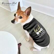 Pet Tees - Multicolor - View 5