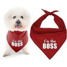 Parisian Pet Fashionable Dog Bandana – '' Printed Tie-On Neck Kerchief for Female Dogs and Cats – ize mall(S Im the Boss) - Multicolor - Ver 2