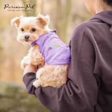 Parisian Pet poiled Rotten T-hirt, mall(XS Pampered Poochie) - Multicolor - Ver 7