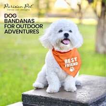 Pet Sweaters - Multicolor - View 5