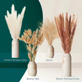 101 st. BOHO Chic Torkade Blommor Harstjärtgräs & Vassbukett - Mångsidig Imitation Pampasgräsdekoration För Bröllop, Födelsedag, Jul, Thanksgiving, Hem & Kontor - Bordsblomsterarrangemang i lantligt skick för alla årstider