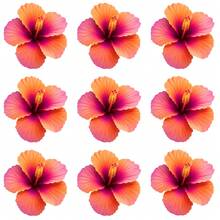 9PCS DIY Ironing Applique Patch,  Hibiscus Flowers Pattern Print Design , Easy Heat Transfer For Clothing, T-Shirts, Jeans, Backpacks, Hats & Pillows, Durable Washable Stickers Perfect For Casual Style, Ideal Gift For Women And Men. - Nhiều màu - Xem 2