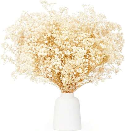 Trockene Blumen, mit über 3500 Knospen, weiße, natürliche Trockene Blumen, geeignet für DIY-Kranzen, Heim, Hochzeiten, Esstische, Vasendekoration