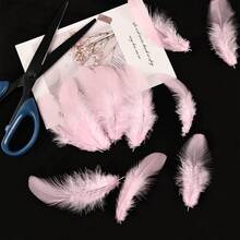 300pcs 3-5 Inch Colorful Rooster Feathers, Bulk For DIY Crafts, Home Wedding Party Decorations, Dreamcatchers - Pink - View 4