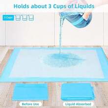 Pet Urine Pads/Diapers - 均碼 - 查看 6