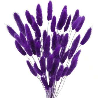 61/121/181/241Pcs Dried Natural Flowers Decoration, Natural Dried Rabbit Tail Grass Flowers, Dried Pampas Grass, Used For Home Decor, Wedding Decor, Party Decor, DIY Craft, Shooting Props, Theme Decoration, 17.7inch