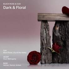 SALT &Amp; STONE Aluminum Free Deodorant | Extra Strength 48 Hour Protection For Women &Amp; Men | Made With Seaweed Extracts, Niacinamide &Amp; Prebiotics (Santal &Amp; Vetiver) - ColorB - 查看 3