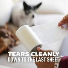 Scotch-Brite - Rodillo de Superficie Grande Extra pegajoso, diseñado para Pelo de Mascotas, 60 Hojas(1 Roller) - Multicolor - Ver 7