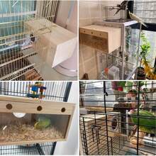 Parakeet Nesting Box Transparent Bird Nest Box Wood Bird House For Cage Budgie Breeding Boxes For Parrotlets, Lovebirds And Other Small Sized Birds 7.8" X 4.7" X 4.7" - 透明加大碼 - 查看 2