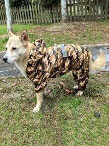 Camouflage Pet Raincoat Double-Layer Raincoat Suitable For Autumn And Winter Waterproof, Snow Proof, Warm, Cat And Dog Universal - Multicolor - View 3