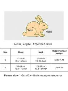 一套泰迪熊胸背带和牵引绳，兔子牵引绳，兔子配件，胸背带，小型动物项圈和牵引绳，带牵引绳的胸背带，兔子胸背带，可调节牵引绳，兔子宠物用品，适合小型和中型宠物
