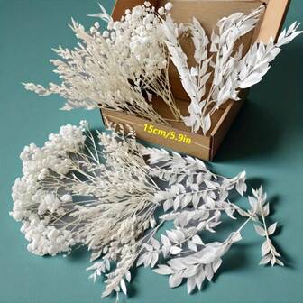 1 låda Premium Naturvita Konstgjorda Blommor - 3 Typer Torkade Blommor Bukett Med Realistiska Vita Kronblad, Långa Stjälkar Plastkonstruktion