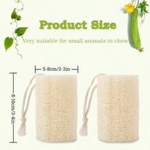 4PCS Rabbit Loofah Chew Toys, Organic Natural Loofah Toys Teeth Cleaning Bath Tools, Handmade Fiber - Rich Bunny Chew Toys Guinea Pig, Hamster, Rat, Chinchillas - 最初的 - 查看 4