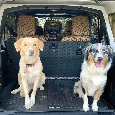 Red de para perros, 120 x 70 cm, red de protección para coche, red de separación universal, barrera para mascotas, malla de separación ajustable para asiento trasero de Oxford, evita que se