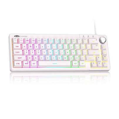 MAGEGEE TS68 60% Compact Wired Keyboard, 61 Keys, RGB Backlit, Small Portable Membrane Keyboard For Windows PC, Laptop, Gaming