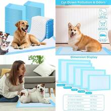 Pet Urine Pads/Diapers - 均碼 - 查看 1